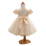Toddler Girls Sequin Gown Dress Baby Flower Embroidered Children Shirt Princess Dress