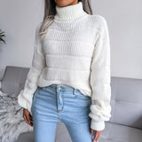 The Rock Turtleneck Autumn and Winter Turtleneck Long Sleeve Hollowed Leisure Bottoming Knitted Sweater