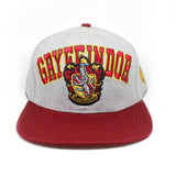 Gryffindor Hat for Adults Harry Potter Hip Hop Hat Sun Protection Baseball Cap
