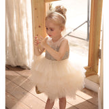 Baby Girl Christening Dress Baby Birthday Gift Children Princess Dress