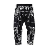Man Fall Outfits Cargo Pants Men's Paisley Full Printed Multi-Pocket Slim Fit Casual Trousers