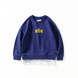 Children Boy Hoodie Spring and Autumn Children's Clothing Long Sleeve Sweater Long Sleeve