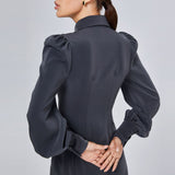 Women Spring Dress Lantern Sleeve Waist Trimming Shirt Dress