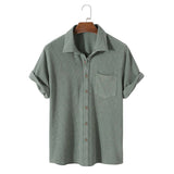Men Hawaii Shirts Summer Men