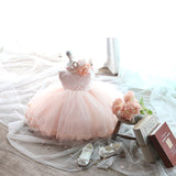 Princess Charlotte Flower Girl Dress Princess Pink Birthday Dress Costume for Piano Performance Summer