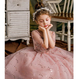Princess Charlotte Flower Girl Dress Princess Pink  Dress Costume for Piano Performance Host