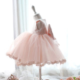 Princess Charlotte Flower Girl Dress Princess Pink Birthday Dress Costume for Piano Performance Summer