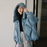 Women Winter Coats Puffer Jacket Down Coat Down Jacket Female Winter Hooded Warm Jacket