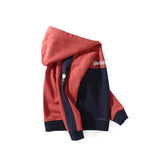 Children Boy Hoodie Autumn Children's Sweater Hooded Long Sleeve Sweater
