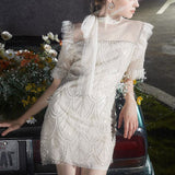 Daisy Buchanan Dress Autumn New Embroidered Diamond Dress for Women