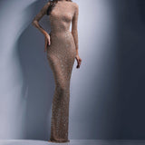 Olivia Wilde See Through Dress Banquet Temperament Long Bronzing Dress