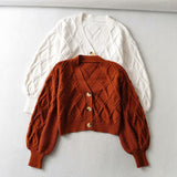 90S Outfits Autumn and Winter Two-Color V-neck Long-Sleeved Jacket Loose Knitted Top