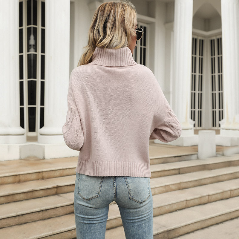 The Rock Turtleneck Autumn and Winter Turtleneck Cable-Knit Sweater Knitwear Casual Base Pullover Top