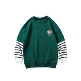 Children Boy Hoodie Spring Children Long-Sleeved Sweater Long Sleeve