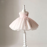 Princess Charlotte Flower Girl Dress Princess Pink Birthday Dress Costume for Piano Performance Summer