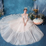Women'S Evening Dress Ball Gown Princess Quinceanera Wedding Dresses Trailing Sexy Bridal Seascape Wedding Dress Princess Pettiskirt