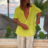 Men Hawaii Shirts Men's Short Sleeve Shirt Beach
