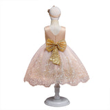 Toddler Girls Sequin Gown Dress Baby Birthday Dress Girl Princess Dress Embroidered Bow