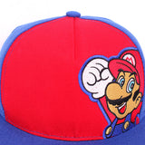 Mario Hat Cosplay Performance Mario Baseball Cap
