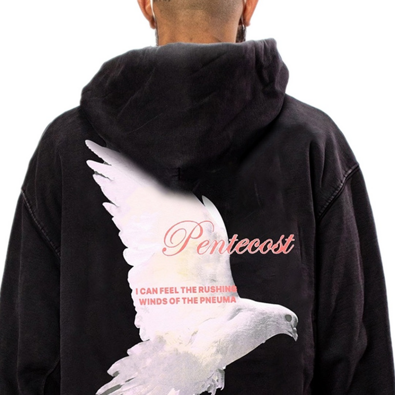 Rrr123 Hoodie Peace Pigeon Hoodie Men and Women Loose Casual
