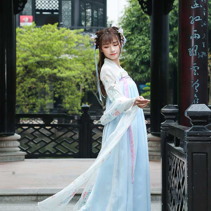 Chinese Traditional Dress Adult Embroidered Tang Guzheng PIPA