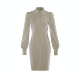 Women Spring Dress Lantern Sleeve Waist Trimming Shirt Dress