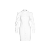 Women Spring Dress Lantern Sleeve Waist Trimming Shirt Dress
