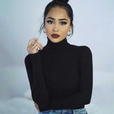 The Rock Turtleneck Autumn and Winter Threaded Cotton Turtleneck Bottoming Shirt Stretch One-Piece Long Sleeves T-shirt
