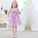 Girl Dress Summer Lace Vest Dress Princess Embroidered Dress