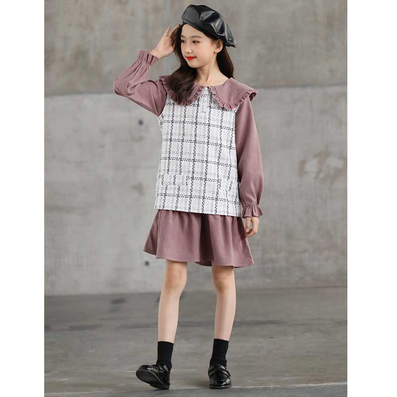 Autumn and Winter Children's Clothing Suit Vest Skirt Girl Children Princess Dress Children Girl's Dress